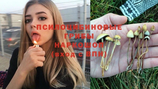 apvp Новокубанск