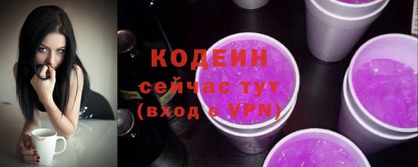 шишки Нягань
