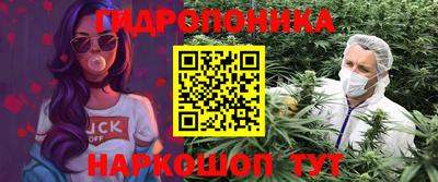 стаф Волжск