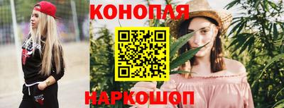 стаф Камышлов
