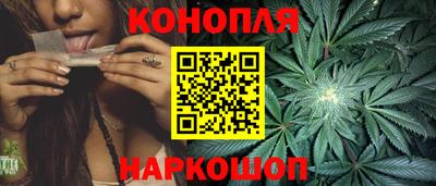 гидра Кандалакша