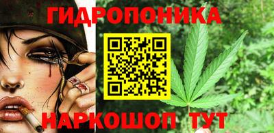 гидра Кандалакша