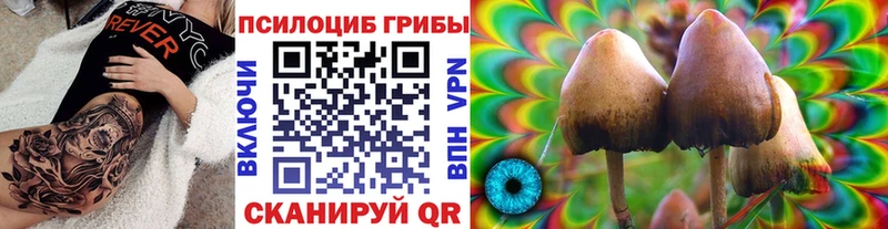 Псилоцибиновые грибы Psilocybe  Чебоксары 