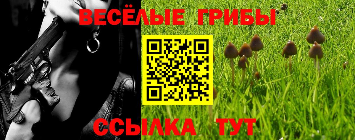 Псилоцибиновые грибы MAGIC MUSHROOMS Чебоксары