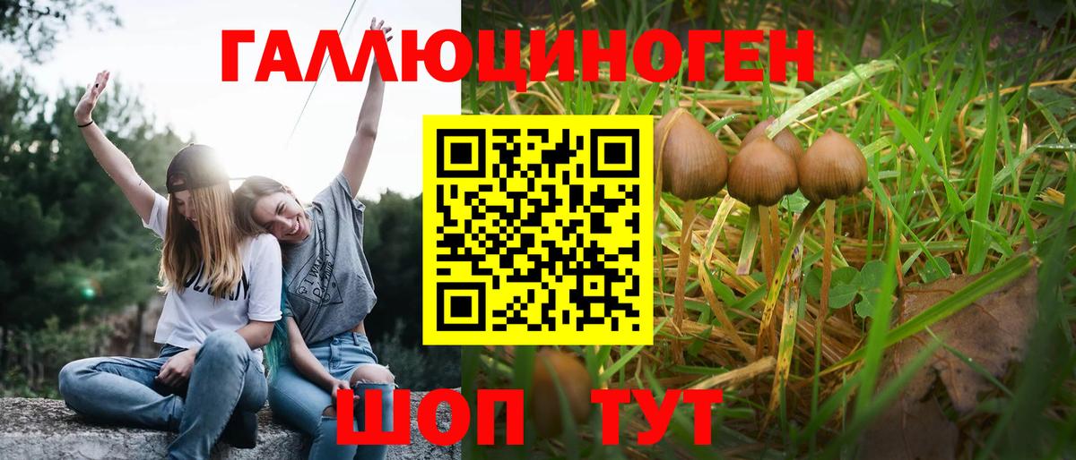 Псилоцибиновые грибы MAGIC MUSHROOMS  купить наркоту  Чебоксары  Вход с VPN 