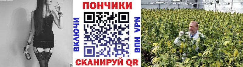 Бошки марихуана Bruce Banner Чебоксары